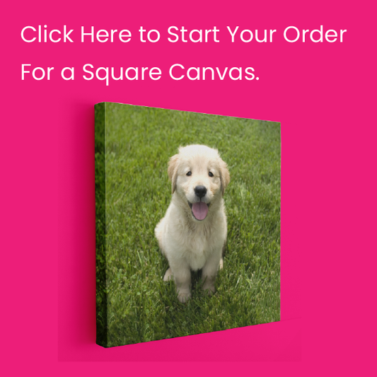 Square Canvas